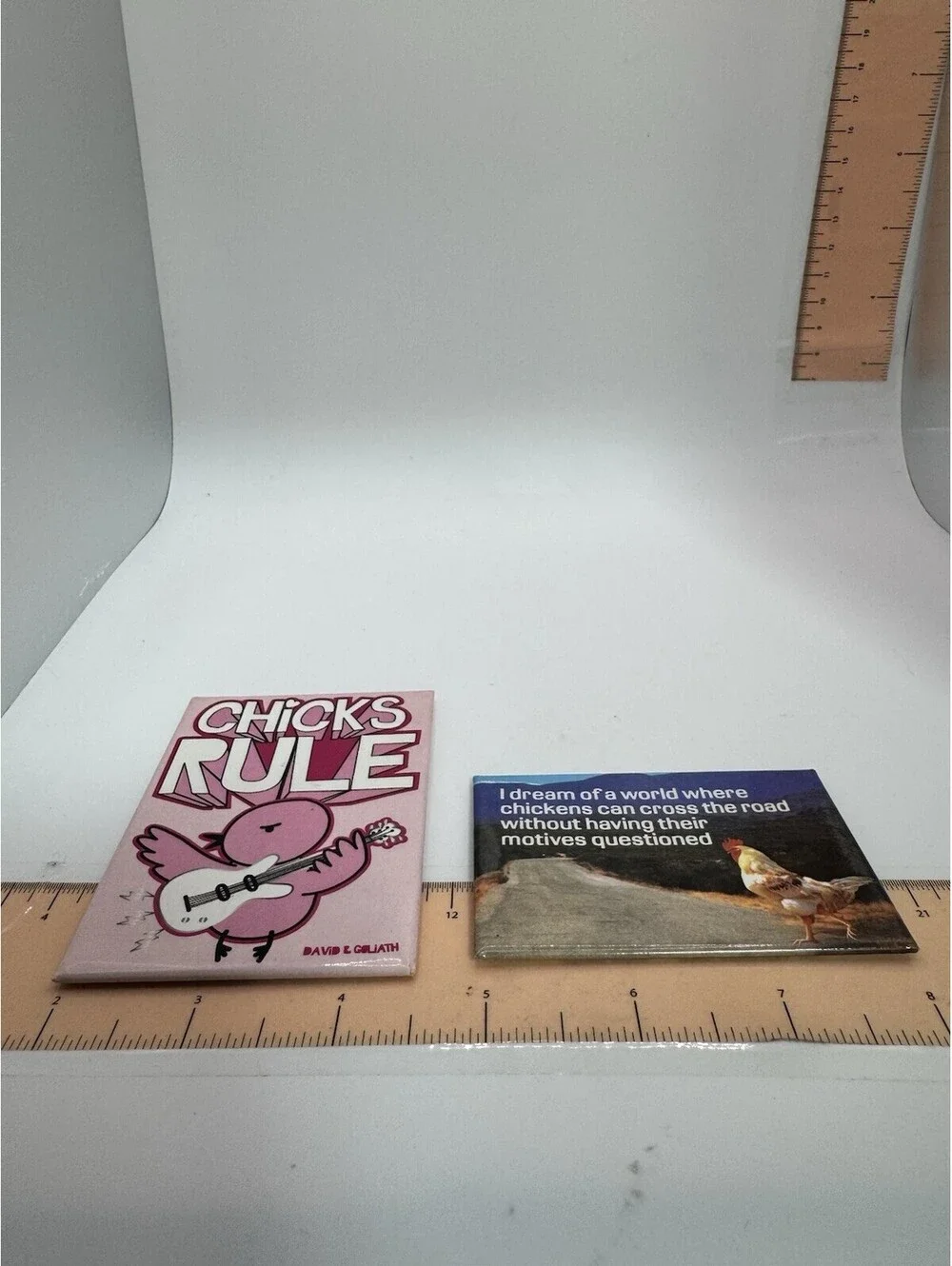 2 Novelty “chicken” Magnets - Chicks Rule
